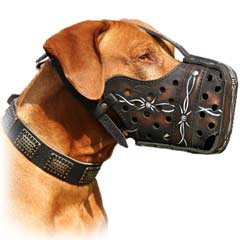 Excellent hand-painted leather muzzle