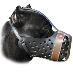 Easy to fit leather training muzzle