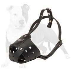 Leather muzzle for active dogs