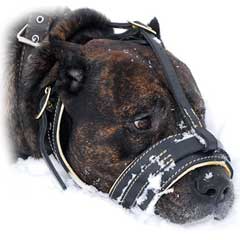 Safe and reliable leather muzzle