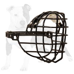Wire basket muzle for active dogs