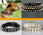 spiked collars