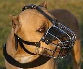 Wire Basket Dog Muzzle for American Dog Training -Dog Supplies