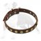 Leather Dog Collar With Circles for Training and Walking