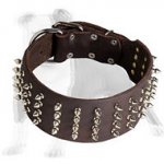 Cool Spiked Leather Dog Collar 3 inch Wide