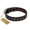 "Stars of Glory" FDT Artisan Brown Leather dog Collar for Comfortable Walking