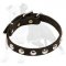 Studded Leather Dog Collar for Walking Puppies and Small Breed Canines