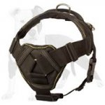 Fantastic Training Nylon Dog Harness with Soft Like Cushion Chest Plate