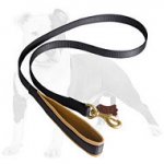 Nylon dog leash with support material on the handle (4 to 6 foot)