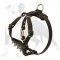 Leather Puppy Harness with Spiked Delicate Chest