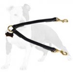 Stitched Leather Coupler Leash for Walking 2 dogs