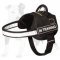 Water Resistant Nylon Harness with Reflective Trim
