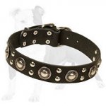Fashion Leather Dog Collar with Conchos and Studs