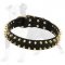 Chic Leather Dog Collar for Walking with Spikes
