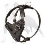 Leather Agitation Harness for Safe Training of Your Dog