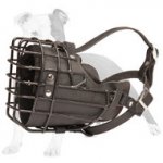 Rubber Coated Wire Cage Muzzle with Leather Padding for Winter Walking