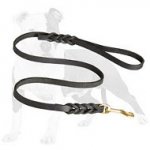 Luxurious Leather Dog Leash for Walking and Tracking