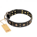 "A La Mode" FDT Artisan Handcrafted Black Leather dog Collar
