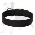 All-Weather Nylon Collar for Training and Walking Your Beloved Dog
