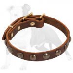 Leather Dog Collar Studded with Brass Half-Balls for Fashion Walking