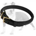 Elegant Thick Leather Dog Collar for Walking/Training Large and Medium Dogs
