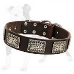 War Like Leather Dog Collar with Plates