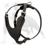 Comfortable for Active Behavior Leather Dog Harness