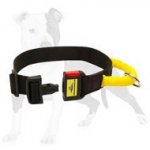 Very Practical and Gorgeous Nylon Collar for Training Your Dog