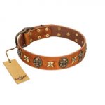 "Rockin' Doggie" FDT Artisan Tan Leather dog Collar Adorned with Stars and Skulls