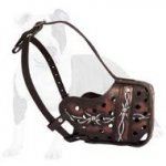 Barbed Wire Painted Agitation Muzzle for Active Dogs