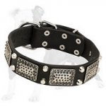 Tremendous Leather Dog Collar with old nickel massive plates and 2 nickel pyramids)
