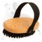 Bristle Dog Brush for Everyday Grooming