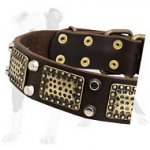 War-like Leather Dog Collar with old brass massive plates and 2 nickel pyramids