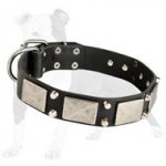 Designer Leather Dog Collar with Nickel Pyramids and Large Plates