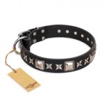 "Space Walk" FDT Artisan Black Leather dog Collar with Adornments