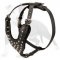 Excellent Every Day Harness with Silver Color Riveted Pyramids
