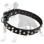Easy Adjustable Designer Leather Dog Collar with Pyramids for Medium & Large Breed Dogs