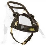 Guide & Assistance Leather Dog Harness with Long Handle