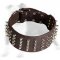 Cool Spiked Leather Dog Collar 3 inch Wide
