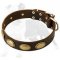 Exclusive Leather Dog Collar with Goldish Oval Plates for Fashionable Walking