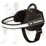 Water Resistant Nylon Harness with Reflective Trim