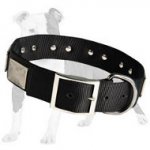High Quality Nylon Dog Collar with Large Vintage Plates for Training and Walking with Style