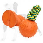 Rubber Bite Ball on a String for Training and Playing in Water 7cm
