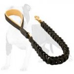 Beautiful Canine Leash for Walking and Training Your Dog
