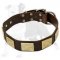 Leather Dog Collar With Brass Big Plates