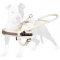 White Guide Nylon Dog Harness