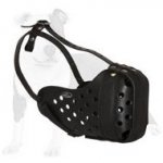 Professional Leather Dog Muzzle for Agitation Training