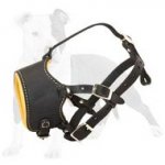 Bite Protection Leather Muzzle with Nappa Leather Padding