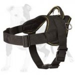 Adjustable Nylon Dog Harness for Pulling and Tracking