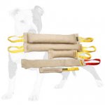 Dog Training Set for Bite Training